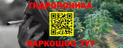 ГАЛЛЮЦИНОГЕННЫЕ ГРИБЫ Балахна