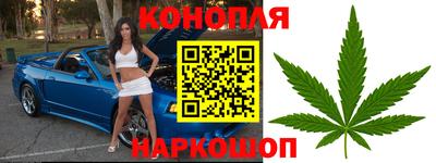 ГАЛЛЮЦИНОГЕННЫЕ ГРИБЫ Балахна
